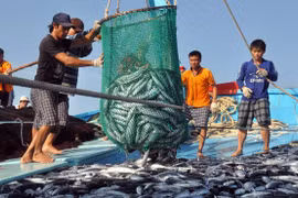 Sản lượng khai thác thủy sản trên ngư trường giảm