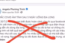 Sở Thông tin và Truyền thông TP.HCM xử lý các đối tượng đăng bài về giun đất chữa Covid-19