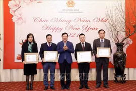 Báo chí góp phần quan trọng vào thành công đối ngoại trong năm 2020