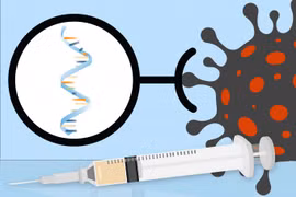 Không chỉ ngăn COVID-19, công nghệ mRNA làm được nhiều hơn mong đợi