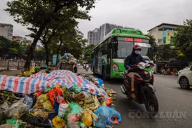 Từ 1/1/2022, cá nhân không phân loại rác sẽ bị từ chối thu gom