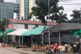 Xây dựng trái phép trên đất quy hoạch tại Lào Cai: Cần xem xét trách nhiệm người đứng đầu