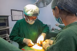 Quảng Nam: Phẫu thuật loại bỏ hơn 200 viên sỏi trong túi mật của nữ bệnh nhân