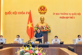Năm 2022, kiểm toán đánh giá việc thực thi, chính sách các gói hỗ trợ người dân và doanh nghiệp