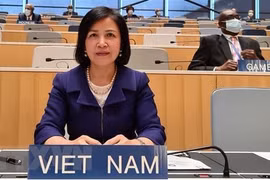 Việt Nam kêu gọi tăng cường hợp tác và đối thoại để thúc đẩy thực chất quyền con người
