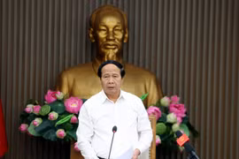 Từng bước gỡ “thẻ vàng”, tuyệt đối không để bị áp dụng “thẻ đỏ” của EC