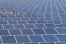 Ồ ạt xây dựng nhà máy điện tái tạo, Việt Nam dư thừa hàng tỷ kWh điện năng