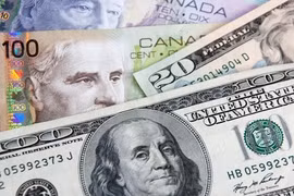 Tỷ giá ngoại tệ hôm nay 16/6: Đồng USD tiếp đà hồi phục