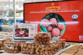 Vải thiều Việt xuất khẩu sang Pháp: Giá gần 500.000 đồng/kg vẫn “cháy hàng”