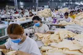 Đề xuất lập "doanh nghiệp xanh" ở từng địa phương, ngành hàng