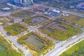 Nghe chuyên gia tiết lộ tuyệt chiêu “thả con săn sắt bắt con cá rô” khi đấu giá
