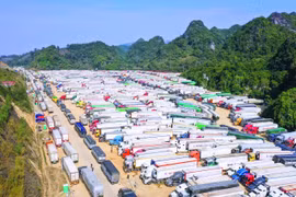 Nước mắt nông sản, bao giờ thôi rơi?