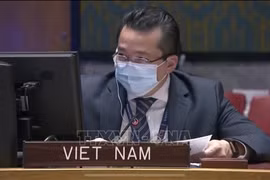 Việt Nam khẳng định ủng hộ chống phổ biến vũ khí hủy diệt hàng loạt