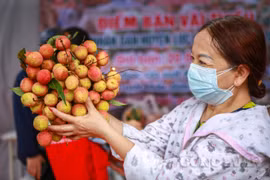 Người dân Hà Nội hỗ trợ tiêu thụ vải thiều Lục Ngạn