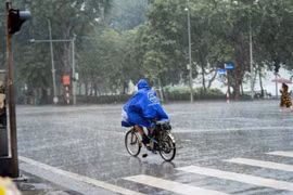 Dự báo thời tiết 5/6: Cảnh báo mưa lớn phía tây Bắc Bộ