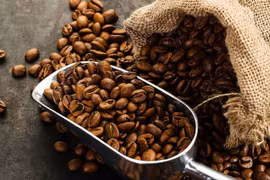 Giá cà phê hôm nay 1/12: Dao động trong khoảng 32.600 - 33.100 đồng/kg