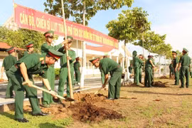 Thủ tướng chỉ thị về chương trình trồng 1 tỷ cây xanh