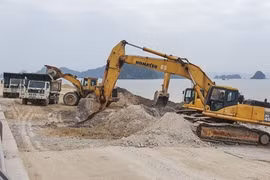 Quảng Ninh: Xem xét kỷ luật 3 cán bộ liên quan đến vụ đổ đất lấn vịnh Bái Tử Long