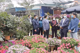 Phải đảm bảo các điều kiện an toàn phòng dịch tại các chợ hoa Xuân