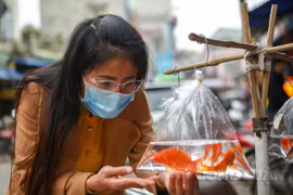 Nhộn nhịp cảnh người dân đi sắm "phương tiện" tiễn ông Táo về trời bất chấp giá cả