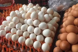 Mỳ ăn liền “cháy hàng”, trứng gia cầm tăng mạnh trong mùa dịch