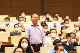 Giám sát việc bổ nhiệm, luân chuyển cán bộ để Quốc hội, Chính phủ "xốc" lại bộ máy