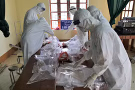 Vi rút trên bệnh nhân COVID -19 ở Hải Dương, Quảng Ninh là biến chủng mới có khả năng lây lan nhanh hơn