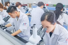 Kiến nghị cho phép trường nghề dạy chương trình phổ thông