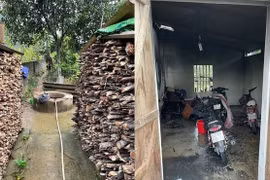 Con dâu đốt nhà bố chồng, đổ thuốc diệt cỏ xuống giếng