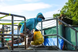 Hà Nội: Xử phạt hành chính 2 trường hợp vi phạm quy định phòng chống dịch ở chợ Long Biên