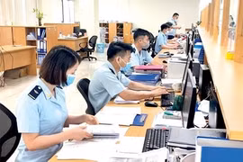 Cục Hải quan TP. HCM thành lập tổ phản ứng nhanh hỗ trợ doanh nghiệp