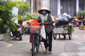 TP.HCM: Hỗ trợ gần 900 tỷ đồng cho người lao động tự do, hộ nghèo trước ngày 10/8