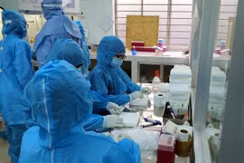 Sáng 23/5, Việt Nam có thêm 33 ca mắc Covid-19, trong đó 31 ca trong nước