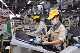 Lùi cải cách tiền lương để “dồn lực” cho các mục tiêu cấp bách hơn là quyết định đúng đắn