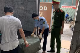 Tiêu hủy gần 7 tấn nầm lợn đông lạnh không rõ nguồn gốc tại Hà Nội