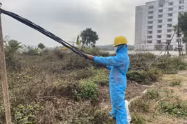 EVNNPC: Đảm bảo công tác Kinh doanh & Dịch vụ khách hàng ứng phó với dịch bệnh Covid-19