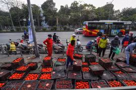 Bộ Công Thương: Đã có nhiều vướng mắc trong việc lưu thông, tiêu thụ nông sản vùng có dịch