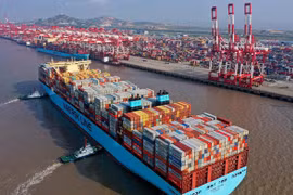 Kiểm tra giá cước dịch vụ vận chuyển container của 12 hãng tàu biển