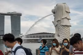 Dịch COVID-19 tại Singapore có dấu hiệu bùng phát trở lại
