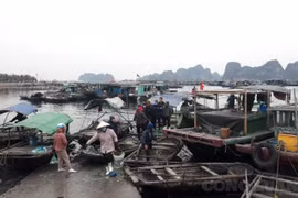 Quảng Ninh: Trích kinh phí hỗ trợ người lao động bị ảnh hưởng dịch Covid-19
