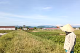 Hà Tĩnh: Cần mạnh tay xử lý dứt điểm trang trại chăn nuôi lợn trái phép, gây ô nhiễm môi trường