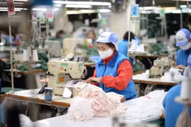 Tiếp tục gia hạn nộp thuế với các đối tượng bị ảnh hưởng bởi dịch COVID-19