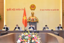 Chủ tịch Quốc hội: Nếu nội dung không đủ điều kiện, sẽ không có kỳ họp bất thường