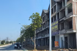 78% sàn giao dịch bất động sản phải cắt giảm nhân sự vì dịch