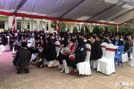 Phú Thọ: Hơn 500 khách hàng tập trung tham gia đấu giá đất trong mùa dịch