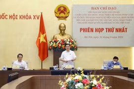 Chủ tịch Quốc hội: Làm rõ khái niệm đặc thù nước “đang phát triển” để xây dựng chiến lược cho phù hợp