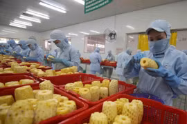 Năm 2021, xuất khẩu rau quả có thể cán mốc 4 tỷ USD