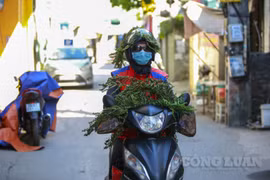 Muôn kiểu tránh nắng của người dân Hà Nội trong thời tiết nóng trên 40 độ C