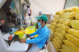 Thương hiệu gạo ST25 bị doanh nghiệp ngoại “nhanh chân” đăng ký tại Mỹ