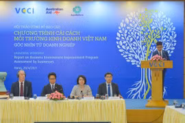 Chuyên gia Phạm Chi Lan: Thủ tục quá "bùng nhùng" thì đối tác nào dám hợp tác?